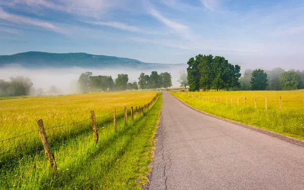 Boerderij velden langs een landweg op een mistige ochtend in de potom — Stockfoto