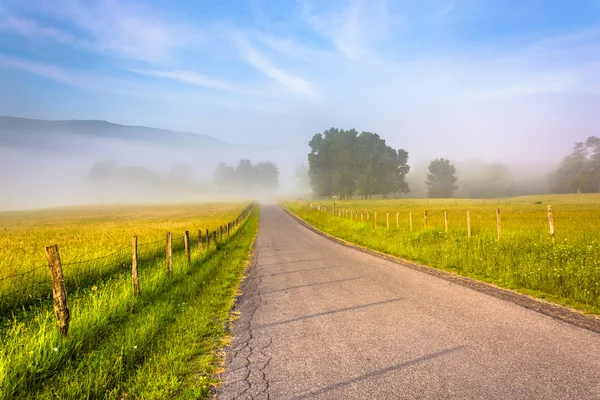 Farm fields along a country road on a foggy morning in the Potom — Stock Photo, Image