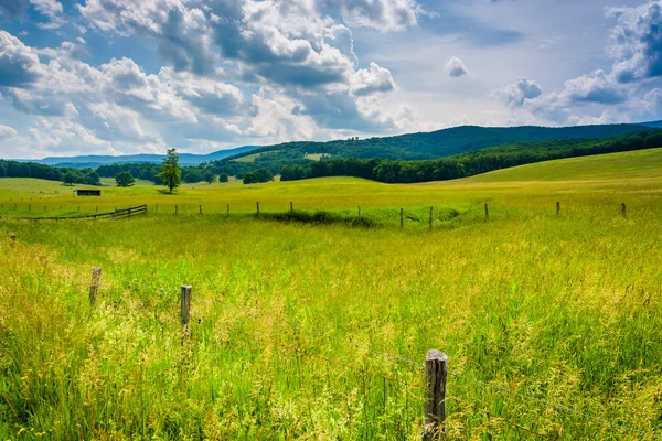 Campos agrícolas en las tierras altas rurales de Potomac en Virginia Occidental . —  Fotos de Stock