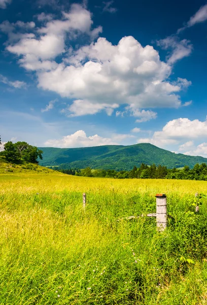 Zaun in einem landwirtschaftlichen Feld und Blick auf entfernte Berge in der ländlichen — Stockfoto