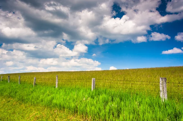 Zaun auf einem Feld im ländlichen Potomac-Hochland von West Vir — Stockfoto
