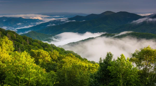 Nuvens baixas em um vale, visto de Newfound Gap Road em Great Smo — Fotografia de Stock