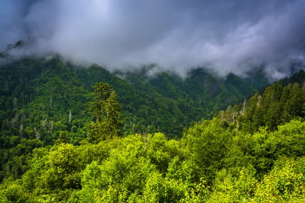 Lage wolken boven de bergen, gezien vanaf newfound gap weg in billijk — Stockfoto