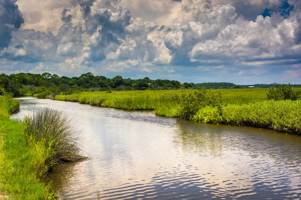 Marsh area of the Tomoka River, at Tomoka State Park, Florida. — Stock Photo, Image