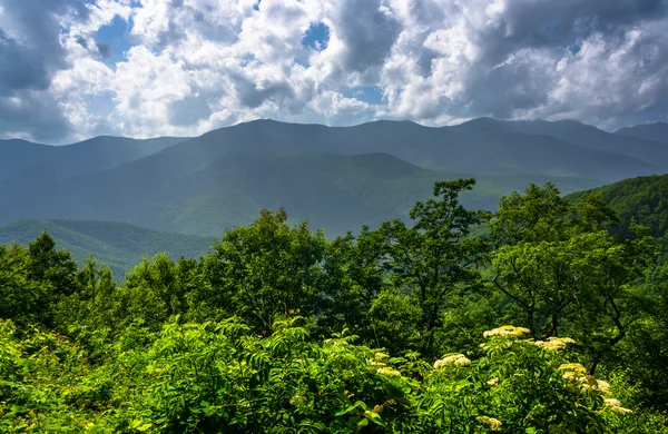 Mid-day view of the Appalachian Mountains from the Blue Ridge Pa — Stock Photo, Image