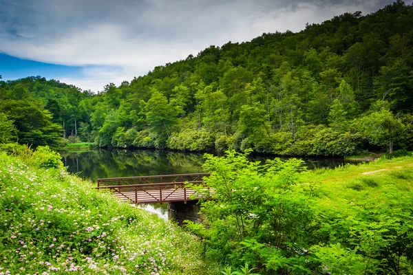 Rybník na julian cena memorial parku podél blue ridge parkway — Stock fotografie