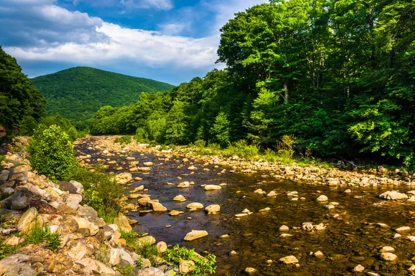 Red Creek, in the rural Potomac Highlands of West Virginia. — Stock Photo, Image