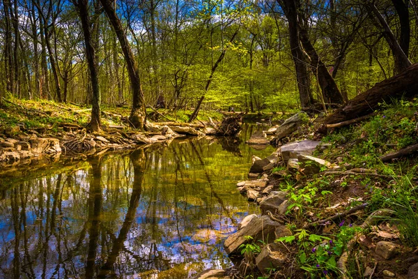 Refleksje w kanale patowmack w great falls park, virginia — Zdjęcie stockowe