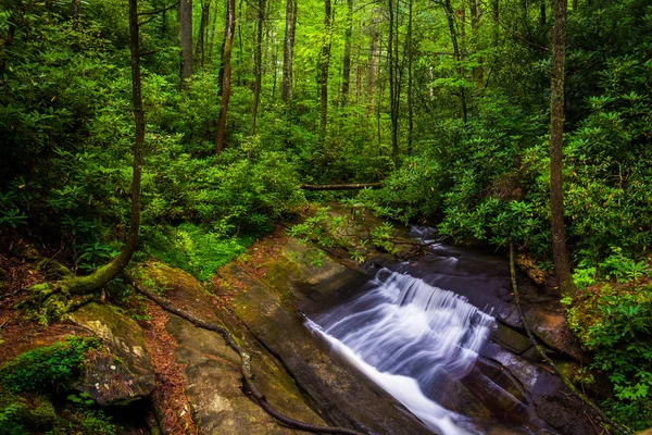 Small waterfall on Carrick Creek, at Table Rock State Park, Sout — Stock Photo, Image