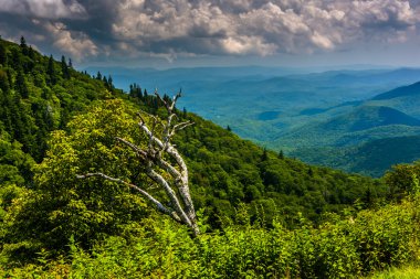 devils Adliye görünümünden gözden kaçırmak, blue ridge parkway üzerinde 