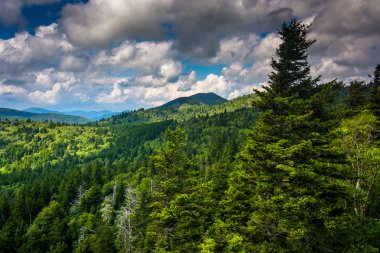 yakınındaki kuzey blue ridge parkway devils adliyeye gelen göster
