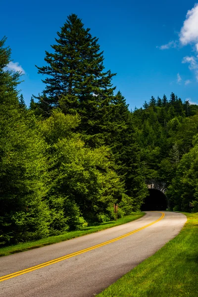 Túnel no Blue Ridge Parkway na Carolina do Norte . — Fotografia de Stock