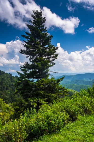 Vista de Devils Courthouse Overview, no Blue Ridge Parkway — Fotografia de Stock