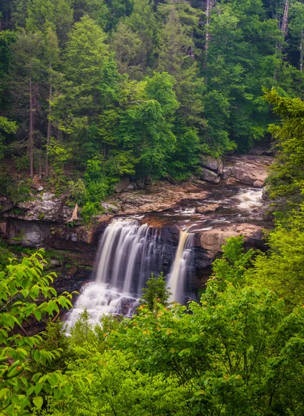 View of Blackwater Falls from the Gentle Trail, at Blackwater Fa — Stock Photo, Image