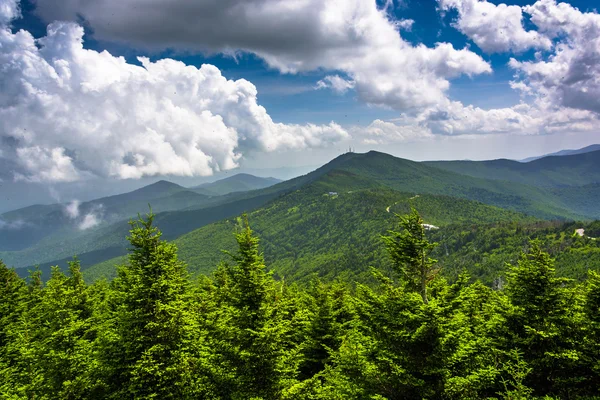Uitzicht op de appalachian bergen van de uitkijktoren op — Stockfoto