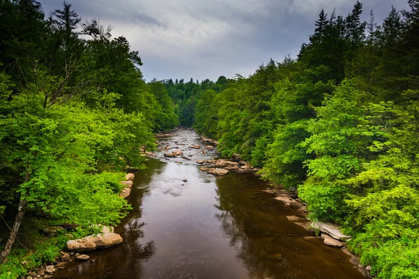 Veduta del fiume Blackwater da un ponte a Blackwater Falls S — Foto Stock