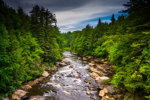 View of the Blackwater River from a bridge at Blackwater Falls S — Stock Photo, Image