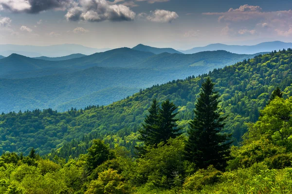 View of the Blue Ridge Mountains seen from Cowee Mountains Overl — Stock Photo, Image
