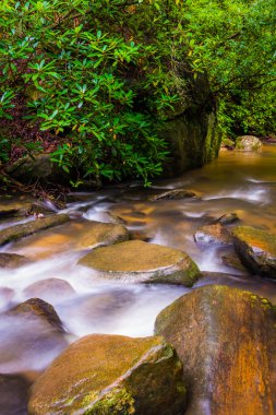 Cascades tablo rock state Park, Güney carol carrick Creek