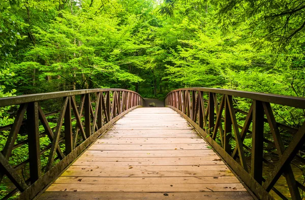 Puente peatonal sobre un arroyo, en Great Smoky Mountains National — Foto de Stock