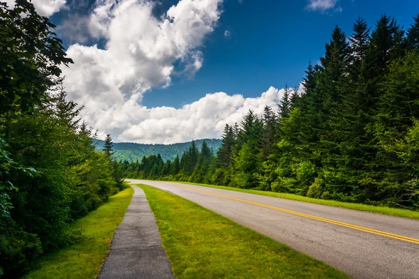 Sentier pédestre le long de la Blue Ridge Parkway en Caroline du Nord . — Photo