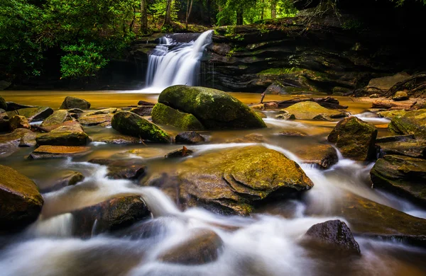 Waterfall and cascades on Carrick Creek, at Table Rock State Par — Stock Photo, Image