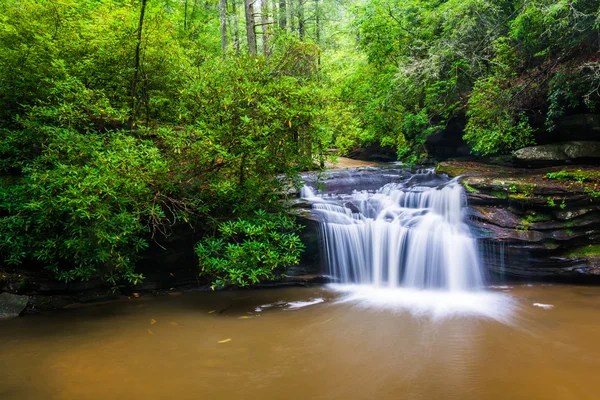 Cascata su Carrick Creek, a Table Rock State Park, South Caro — Foto Stock