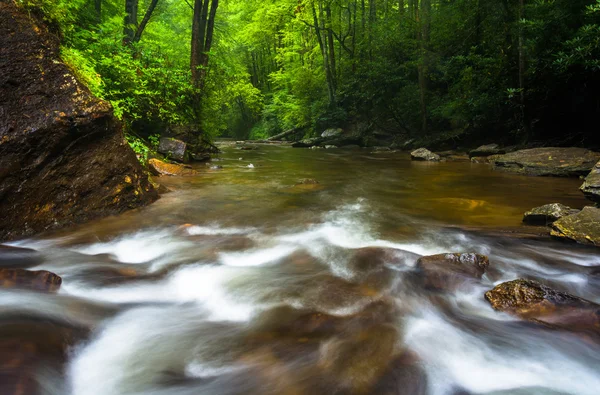 Cascades i strömmen nedanför spegeln faller, i pisgah nati — Stockfoto