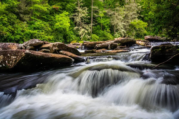 Kaskády na malé řece, v dupont státní lese, Severní Karolína — Stock fotografie