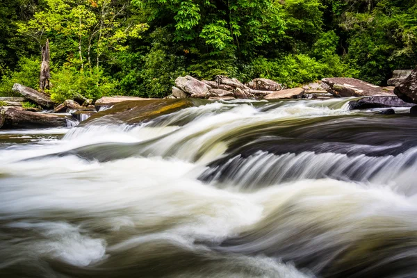 Kaskády na malé řece, v dupont státní lese, Severní Karolína — Stock fotografie