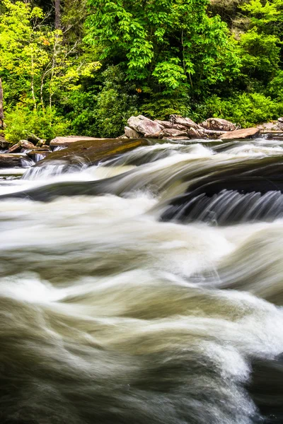 Cascades Little Riverillä, Dupontin osavaltion metsässä, Pohjois-Carolinassa — kuvapankkivalokuva