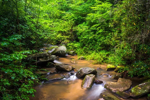 Kis cascades carrick Creek, a táblázat rock state park, Dél- — Stock Fotó