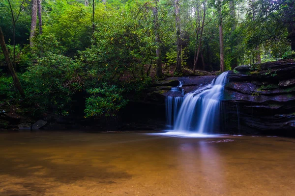 Wasserfall am Carrick Creek, am Table Rock State Park, South Caro — Stockfoto