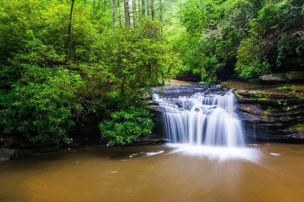 Waterfall on Carrick Creek, at Table Rock State Park, South Caro — Stock Photo, Image