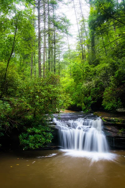 Vattenfall carrick Creek, på bordet rock state park, södra caro — Stockfoto