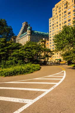 90'ıncı sokak central park, manhattan, new york. 