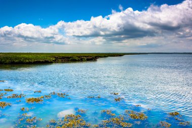 strathmere defne strathmere, new jersey, üzerinde bir bataklık 