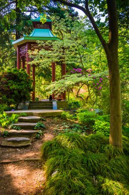kırmızı bir pagoda, Washington'daki Ulusal arboretum, dc. 