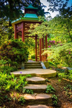 kırmızı bir pagoda, Washington'daki Ulusal arboretum, dc. 