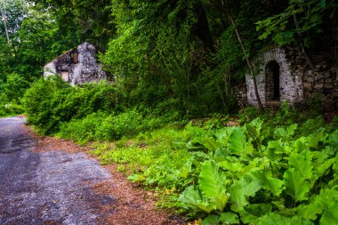 okuma, pennsylvania yakınındaki bir yol boyunca terk edilmiş evde. 