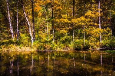 Autumn color along the Gunpowder River in Gunpowder Falls State  clipart