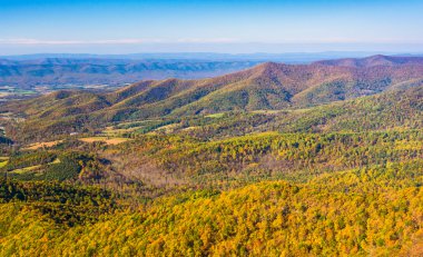 Autumn color in the Appalachian Mountains, seen from Skyline Dri clipart