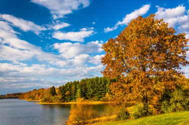 sonbahar ağaç ve göl marburg, görünümü codorus state Park, kalem
