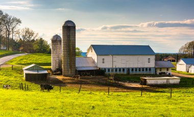 ahır ve kırsal york County, pennsylvania bir çiftlikte silosu. 