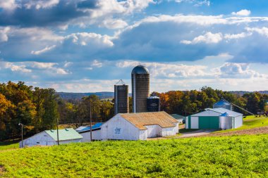 ahır ve kırsal york County, pennsylvania bir çiftlikte silosu. 