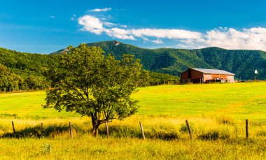 ahır, ağaç ve shenandoah Vadisi appalachians görünümünü