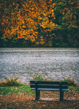 york, pennsylvania yakınındaki göl Williams ve kıyı tezgah.