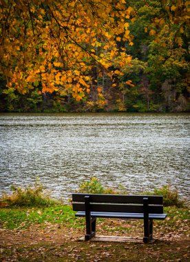 york, pennsylvania yakınındaki göl Williams ve kıyı tezgah.