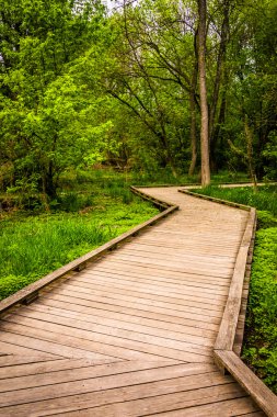 harrisbur yılında wildwood Park orman ile Boardwalk iz