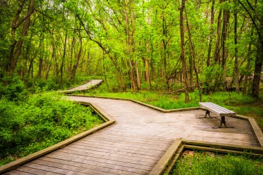 harrisbur yılında wildwood Park orman ile Boardwalk iz
